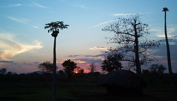 Restaurantes de Mozambique Dónde comer en Mozambique
