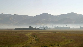 Restaurantes de Etiopía Dónde comer en Etiopía