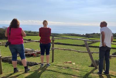 Tour Island Van (día completo)