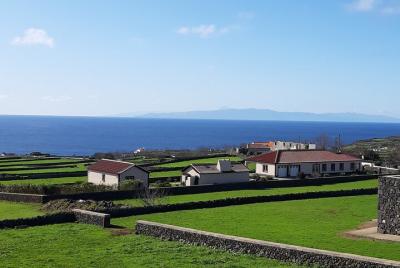 Tour en camioneta por la costa oeste (medio día)