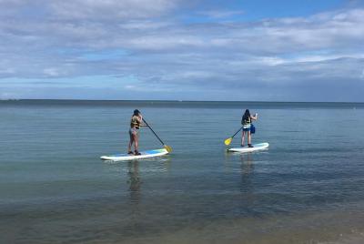 Alquiler de Paddle Board en Puerto Rico