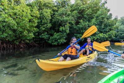 Tour nocturno en kayak por la bahía bioluminiscente 8:00 pm | Lag