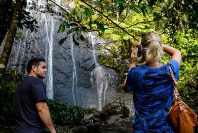 La experiencia de la selva tropical