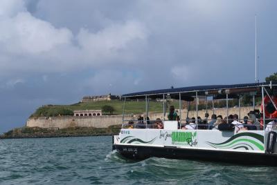 Paseo en bote por el puerto durante el día en San Juan