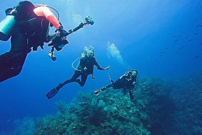 Excursión guiada de buceo por la costa