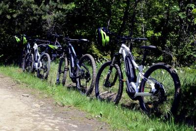 Fertő tour en bicicleta eléctrica por la meseta