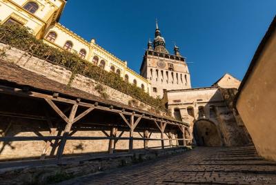 Excursión de un día al complejo geológico de Sighisoara, Rupea y 