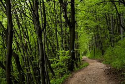 Perfecto recorrido en bicicleta por Brasov