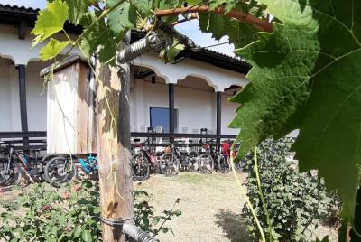 La ruta de la bicicleta eléctrica de Wine Road La ruta de la bicicleta eléctrica de Wine Road