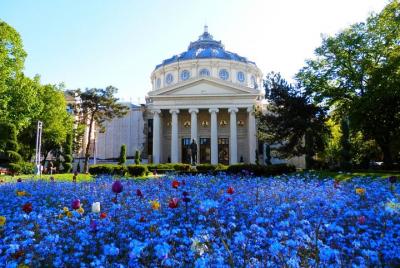 Excursión de escalada en Bucarest: 6 horas de recorrido privado p