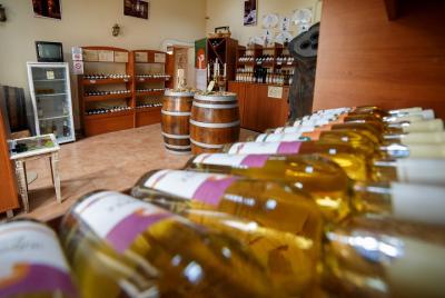 Vino y bodega Vino y bodega