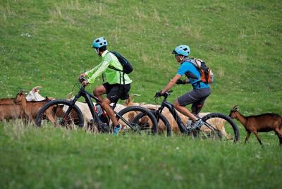Excursiones guiadas en bicicleta eléctrica en Rumania Excursiones guiadas en bicicleta eléctrica en Rumania