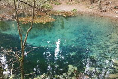 Senderismo privado de día completo en el Parque Nacional Nera Gor