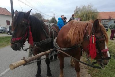 Excursión privada de día completo a Traian Vuia y Margina
