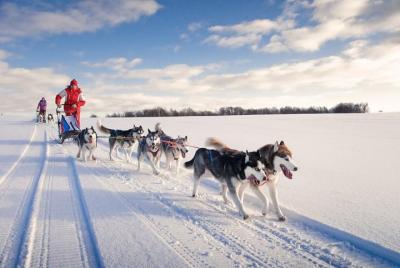 PERRO SLEDDING lago Baikal