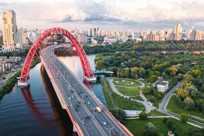 Traslado privado al aeropuerto: Aeropuerto Domodedovo de Moscú (D