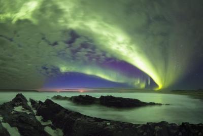 Aurora boreal (Aurora) cazando