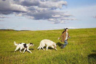 Summer Husky Experience Tour privado