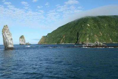 Kamchatka Private Boat Trip - Fauna marina y observación de aves