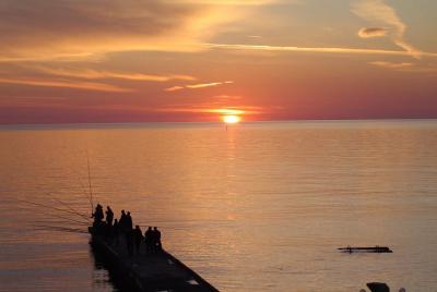 Traslado privado desde el aeropuerto internacional de Sochi AER a