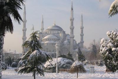 Grupo pequeño: Santa Sofía, Mezquita Azul y Gran Bazar