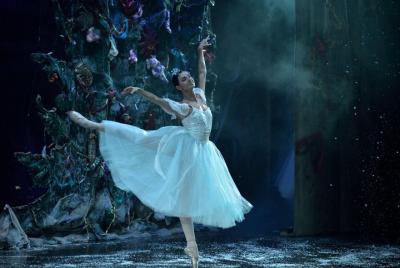 Boleto de ballet clásico ruso en San Petersburgo