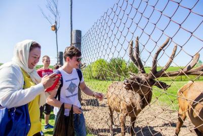 Granja de ciervos y montaña blanca Granja de ciervos y montaña blanca