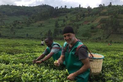 Plantación de café y experiencia en la cosecha.