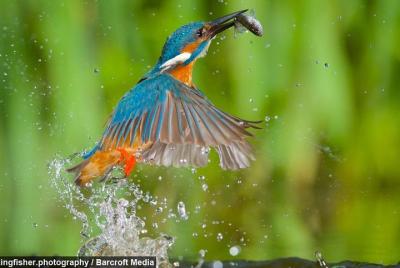 Lugares turísticos en Kibuye Cosas que hacer en Kibuye 178951