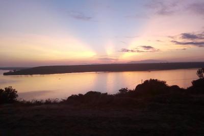 Increíbles safaris de primates