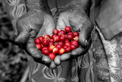 Experiencia de café ruandés