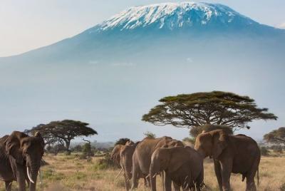 Traslado privado desde el aeropuerto de Kigali (KGL) a Kigali