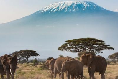 Traslado privado de Kigali al aeropuerto de Kigali (KGL)