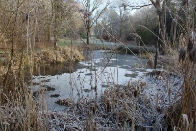 Evite las colas: entrada al jardín botánico