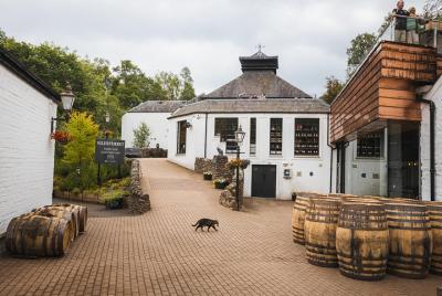 Highlands Day Tour desde Edimburgo con Whisky Tour opcional Highlands Day Tour desde Edimburgo con Whisky Tour opcional