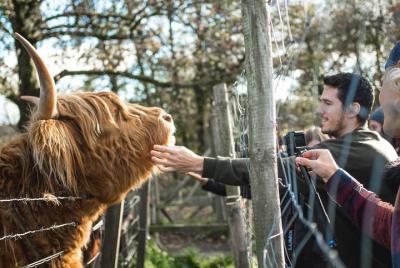 Excursión de día completo al lago Ness y a las Tierras Altas de E