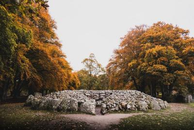 Glen Affric, Culloden y Clava Cairns Tour en grupo pequeño desde 