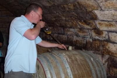 Recorrido por la región de los vinos de Etyek con cena desde Buda Recorrido por la región de los vinos de Etyek con cena desde Buda
