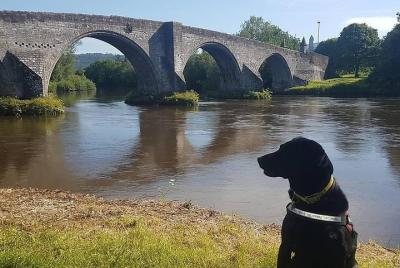 Bienvenido a Stirling (recorrido estudiantil) Bienvenido a Stirling (recorrido estudiantil)