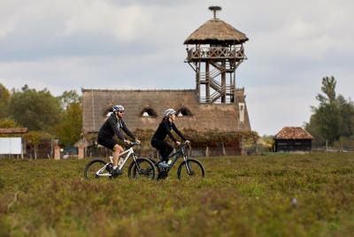 Paseo en bicicleta por Zasavica Paseo en bicicleta por Zasavica