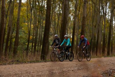 Excursión en bicicleta Obedska bara