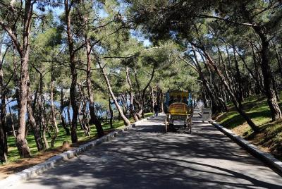 Princes 'Island Tour con Phaeton en Estambul con almuerzo