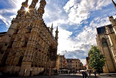 Excursión a Lovaina en tren desde Bruselas 