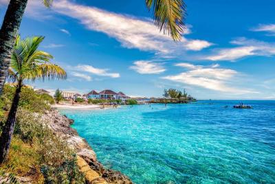 Pearl Island Beach Escape con almuerzo desde Nassau