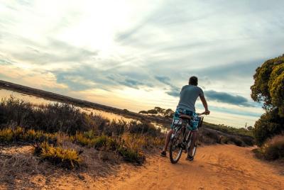 Tour en bicicleta por el Parque Natural Ria Formosa