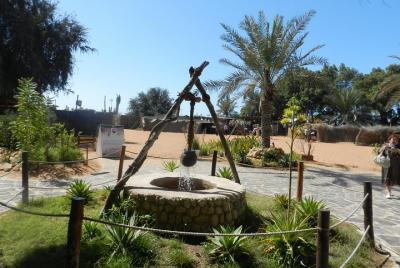 Abu Dhabi Tour en grupo pequeño por la ciudad desde Dubai con la 