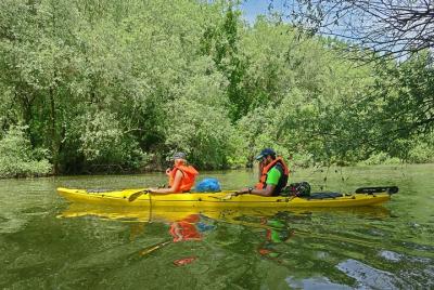 Tour de kayak por la isla de guerra de Belgrado