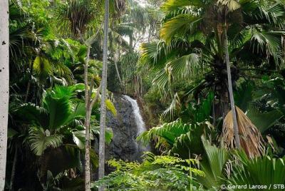 Half Day Discovery Tour de Vallee de Mai en la isla de Praslin