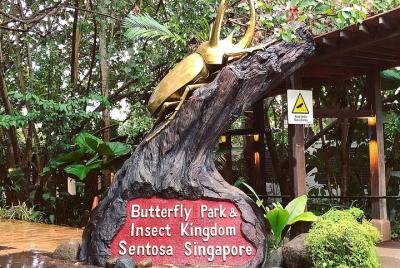 Descubre el parque de mariposas y el reino de los insectos Descubre el parque de mariposas y el reino de los insectos