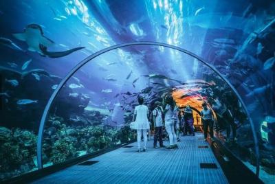 Evite las colas: S.E.A. Solo boleto de un día para el acuario Evite las colas: S.E.A. Solo boleto de un día para el acuario